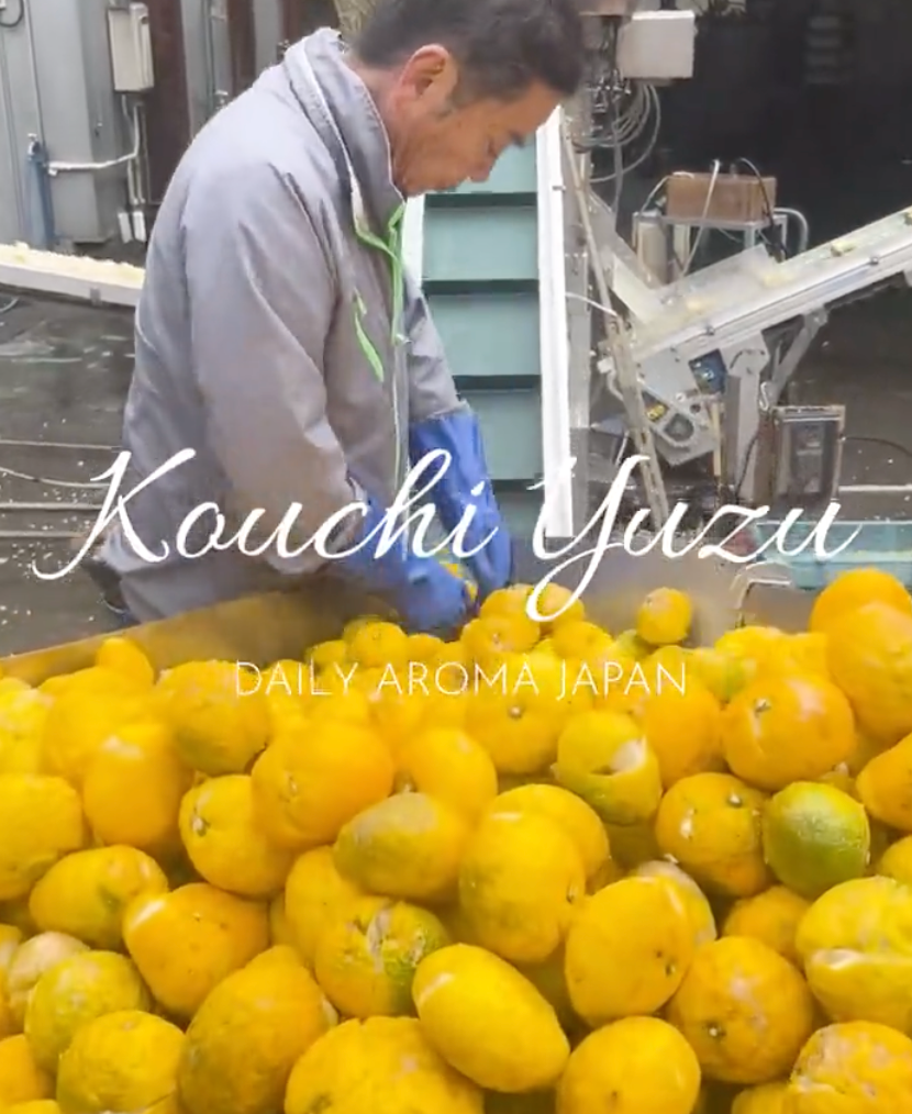 Kochi Yuzu Hand Cream - Daily Aroma Japan