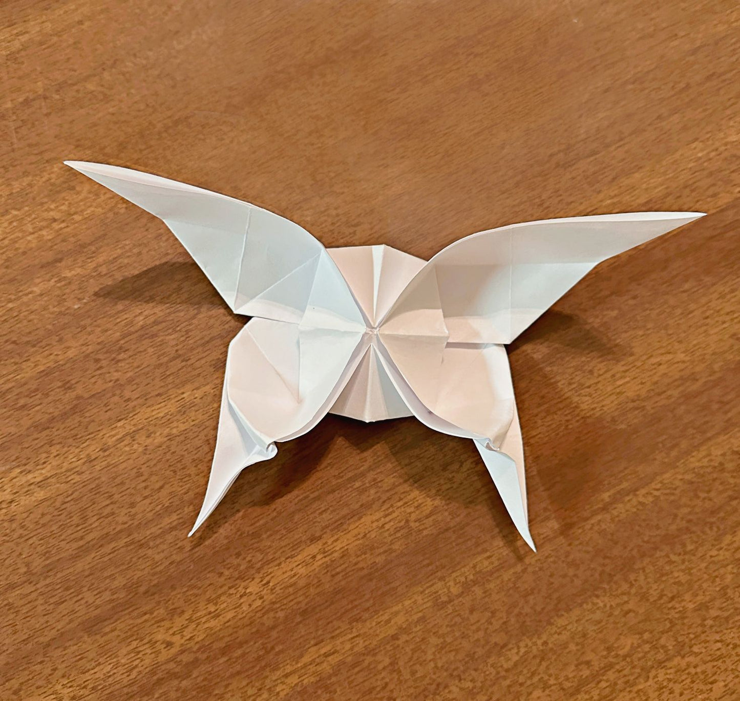 April 12th Origami Workshop