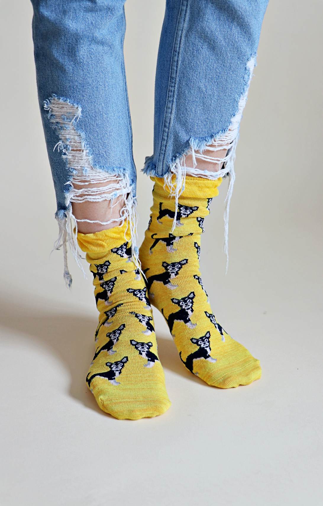 Animal Rescue Pairs CHIWAWA Dog Socks