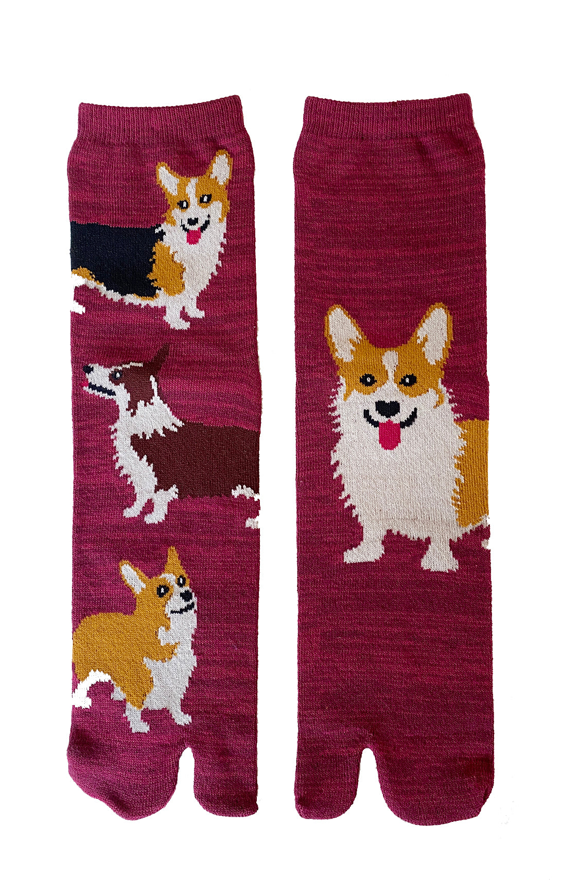 Corgi Dog Tabi Toe Socks