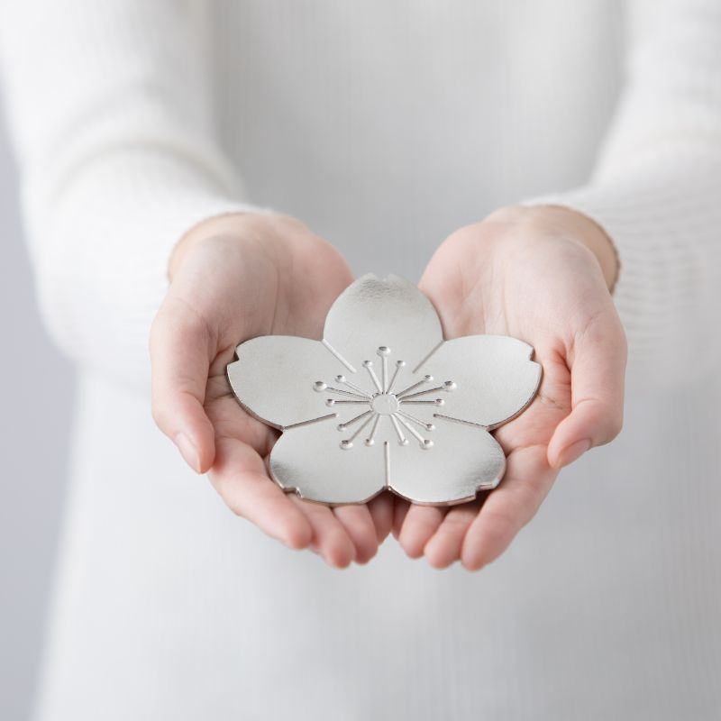 Hands holding a silver flower-shaped object against a white background