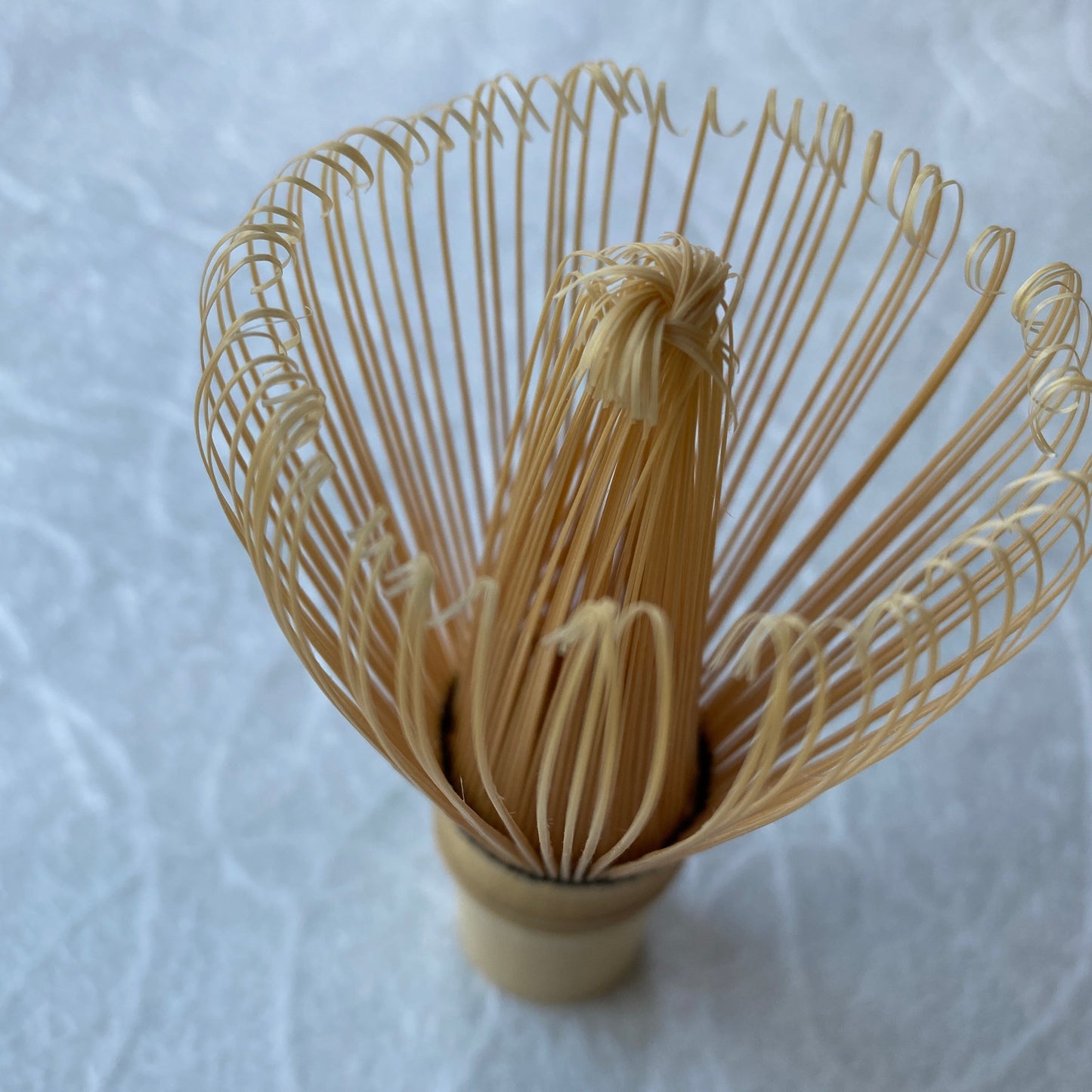 White Bamboo Whisk for Urasenke