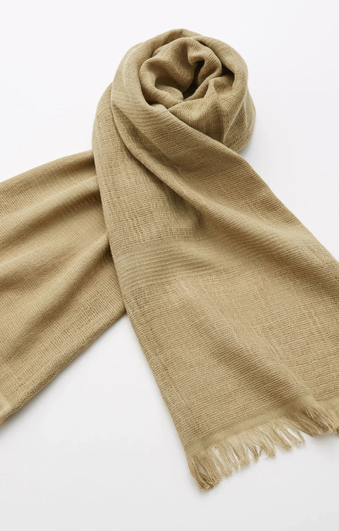 Tabbisocks' Supima Organic Cotton Scarf, ochre sand color