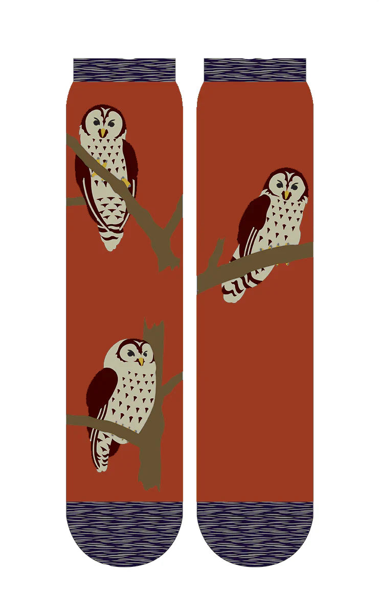 Tabbisocks Replant Pairs Owl California Oregon Washington Organic Cotton Crew Socks in Orange